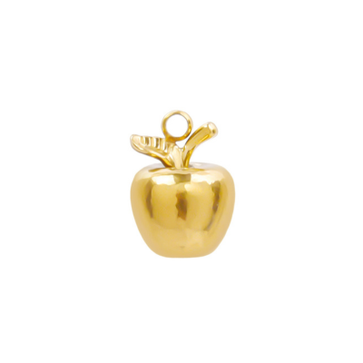 Imer Charm